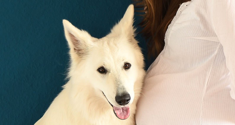 Hund sitzt auf dem Schoß einer Frau|Kind und Hund: Profi-Tipps für eine tolle Beziehung _©Patricia_Loesche||Hund_und_Kind_Familie_mit_Hund_und_Baby©Patricia_Loesche|||Kind_und_Hund_Artikelfoto_670x447_©Patricia_Loesche-Freigabe_nur_fuer_diesen_Artikel-2