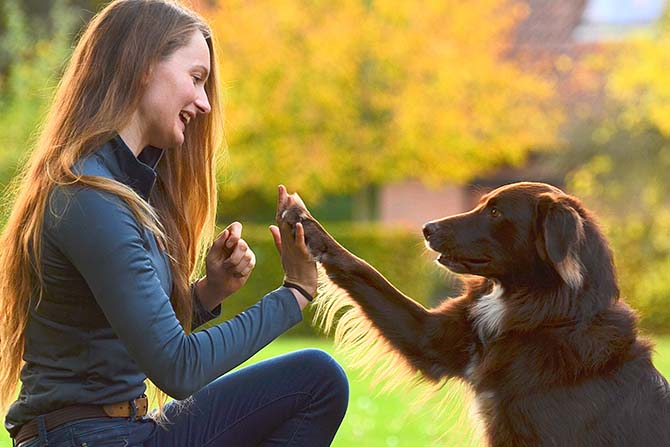 ATN Akademie Online Magazin - Mensch-Hund-Beziehung. Hund und frau geben sich Hand und Pfote beide sehen glücklich und vertraut aus.