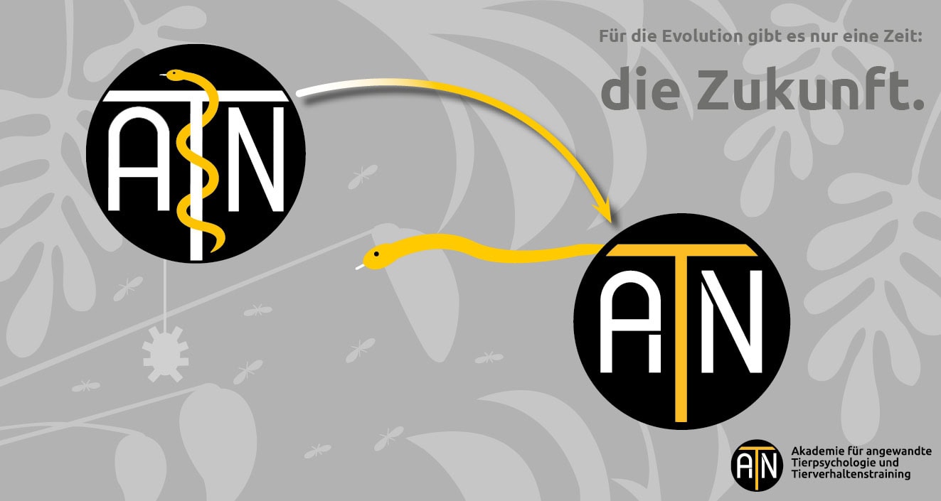 ATN mit neuem Namen|