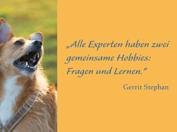 Zitat Gerrit Stephan, Tutor ATN, ist nominiert für den Tutor des Jahres 2022, eine Auszeichnung des Fernstudiumchecks