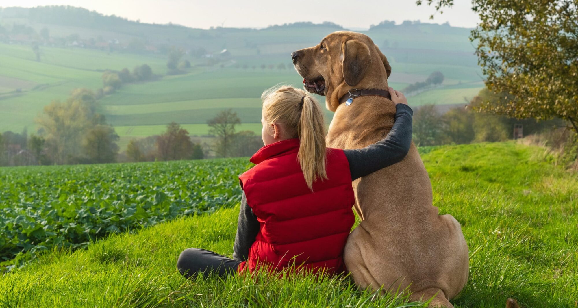 Hund und Kind sitzen auf einer Wiese und gucken in die Ferne