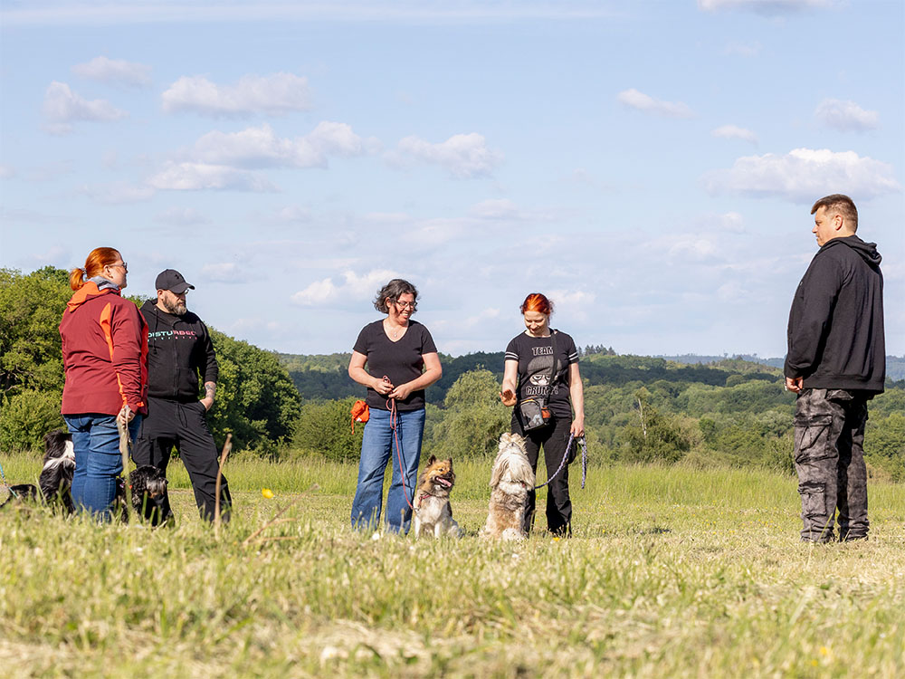 Der Hundetrainer schafft eine vertrauensvolle Atmosphäre für Hunde uns Tierhalter im Gruppenunterricht