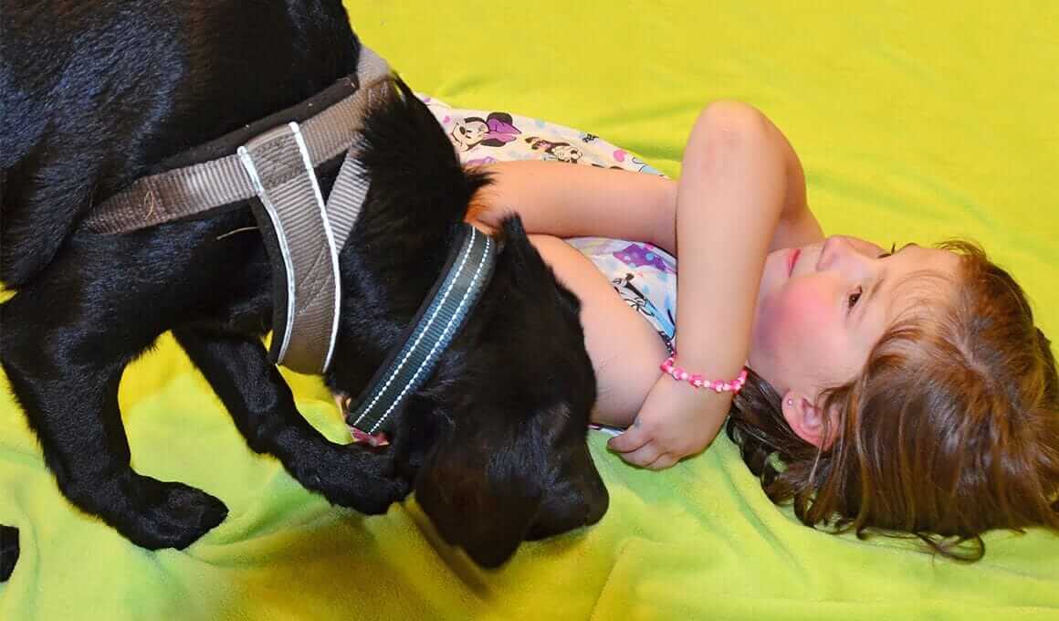 Assistenzhundetrainerin Carina Stanek|Assistenzhundetrainerin Carina Stanek|Assistenzhundetrainerin Carina Stanek|Assistenzhundetrainerin Carina Stanek|Assistenzhund bringt Sachen