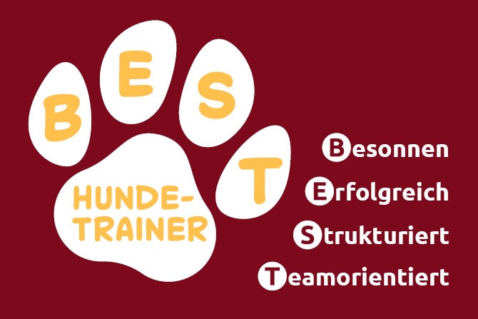 Eine Hundeschule gründen mit dem  BEST Hundetrainer Profi-Coaching 