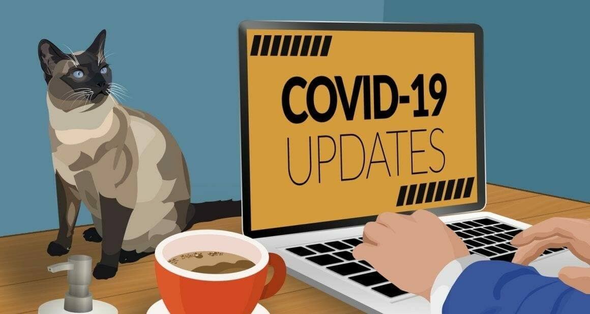 Corona-Infektionen bei Haustieren?|Wer SARS-CoV-2 positiv ist
