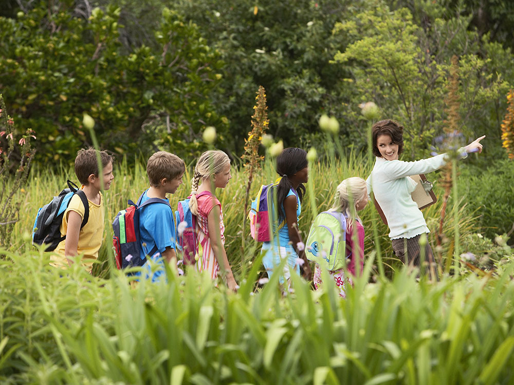 Kinder lernen gemeinsam in einer angeleiteten Gruppe in der Natur