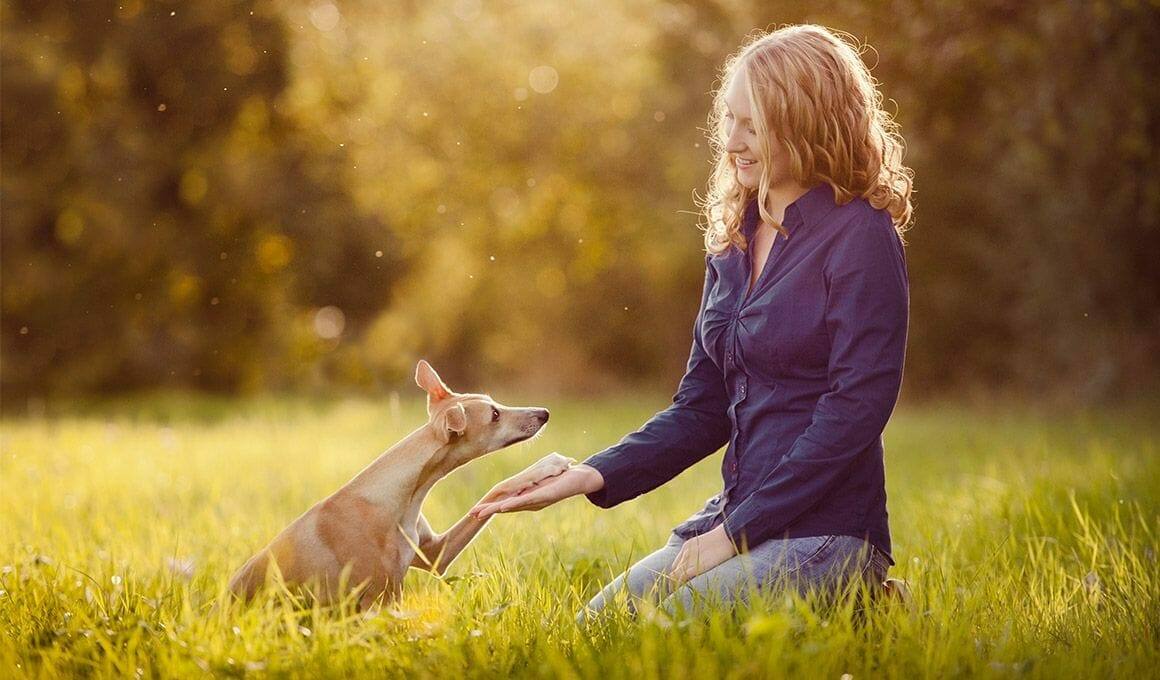 Hundetrainerin Maria Ebeling|Hundetrainerin Maria Ebeling|Hundetrainerin Maria Ebeling|Hundetrainerin Maria Ebeling|Hundetrainerin Maria Ebeling