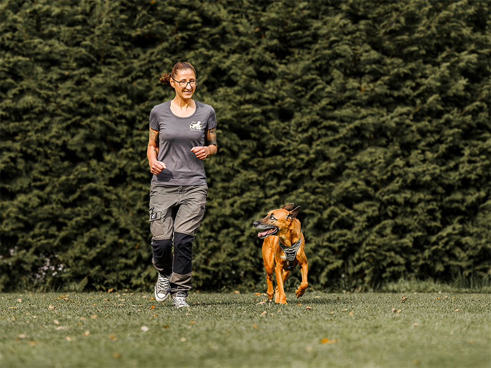 Hund und Mensch gemeinsam auf dem Weg zur Erlaubnis nach §11 TierSchG
