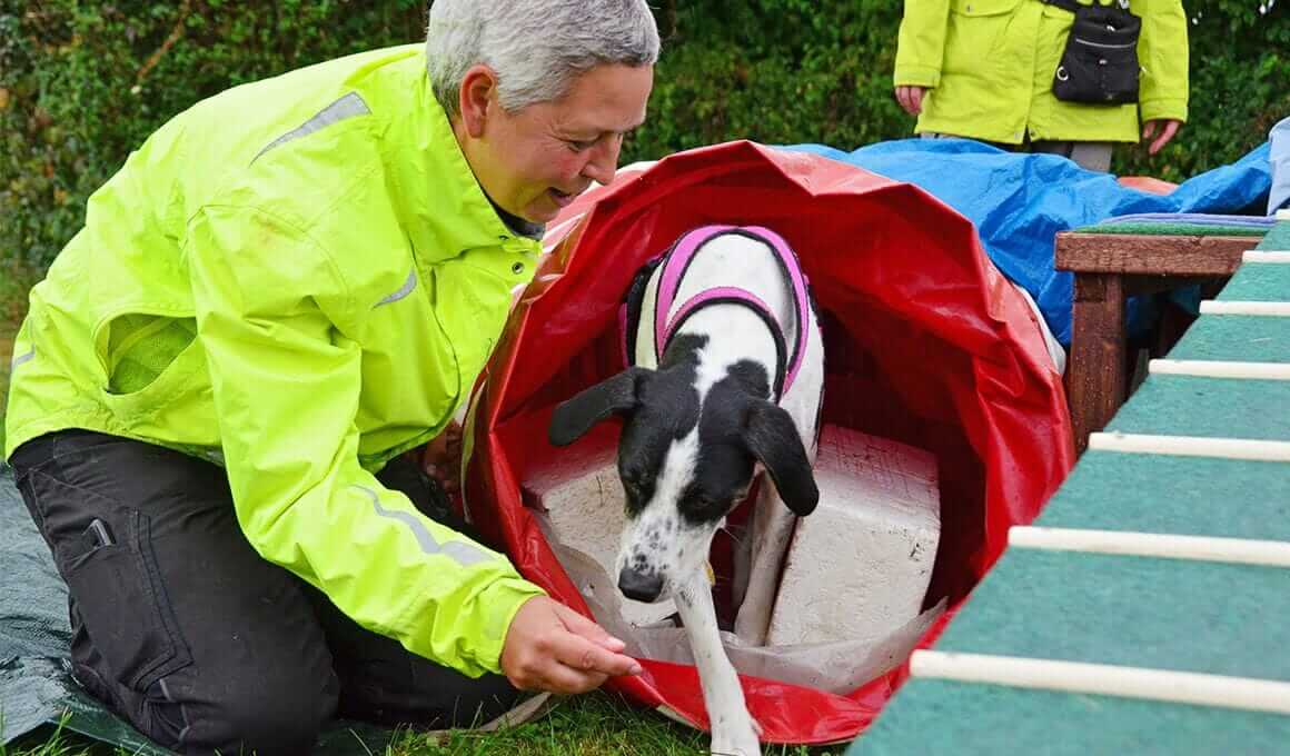 Hundeverhaltensberaterin Birgit Götz|Hundeverhaltensberaterin Birgit Götz|Hundeverhaltensberaterin Birgit Götz
