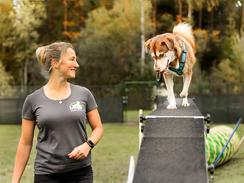 Hund überwindet im Agility angeleitet durch die Hundetrainerin die Hürde Laufsteg