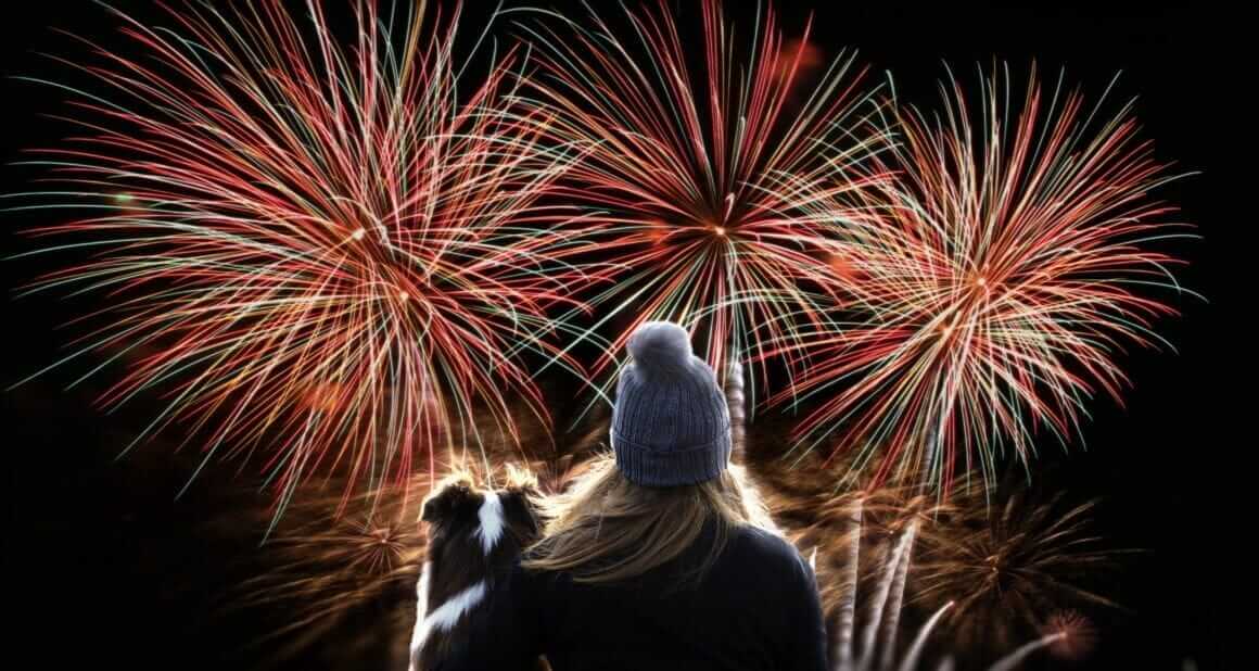 Jahreswechsel mit Hund: Hilfe bei Silvesterstress|Ein Hund – viele Stresssymptome|Hundedecke und Entspannung