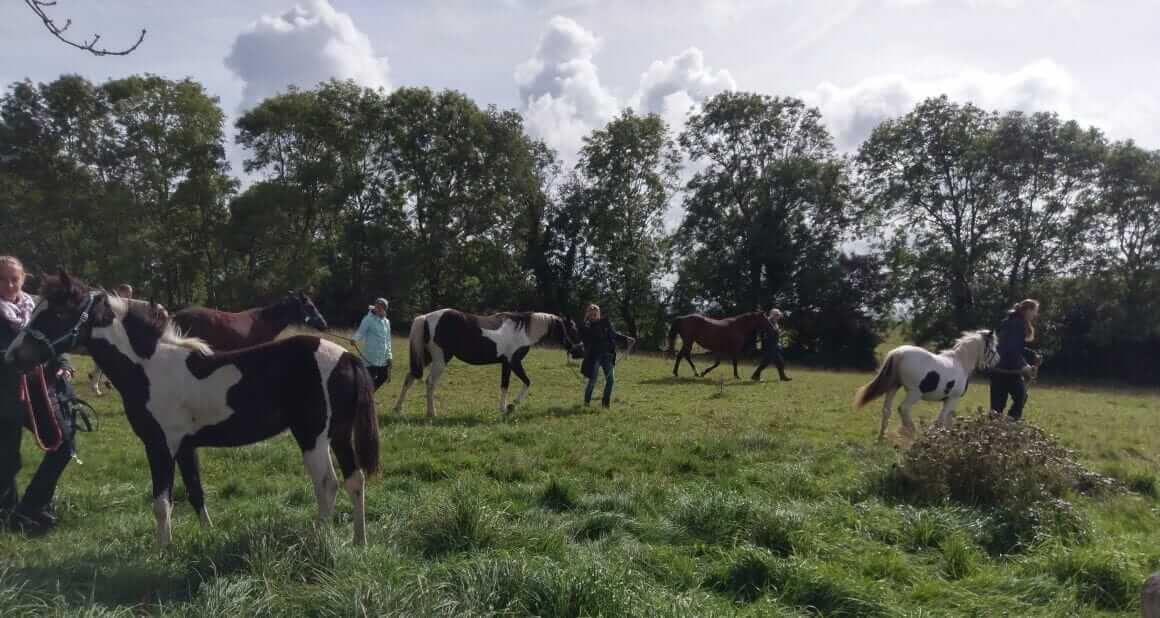 Jungpferdeprojekt Irland|Dozentin Annabelle Steiger und Schülerinnen