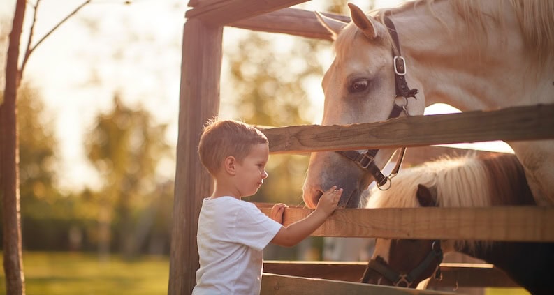 ATN_Reportage_Leben lernen mit Ponys und Alpakas_Kind und Pferd