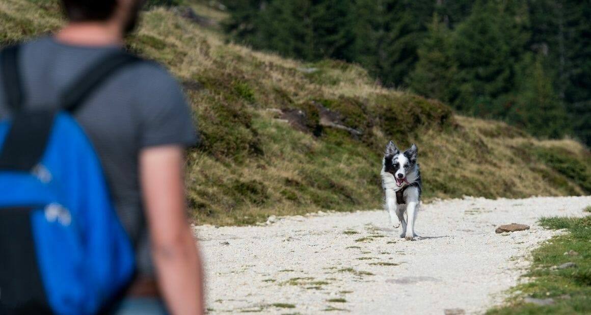 Mensch und Hund – eine ganz spezielle Beziehung|Blickkontakt als Kommunikationsmittel|Dozenten und Autoren ATN - Autorin Dr. Miriam Paulisch|Körperlichen Kontakt und Zuwendung fördern die Ausschüttung von „Glückshormonen“-©Loesche