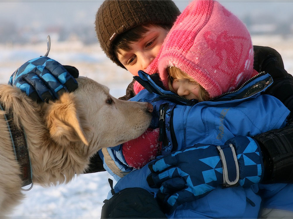 Mensch-Tier-Kommunikation zwischen zwei Kindern und einem Hund im Schnee