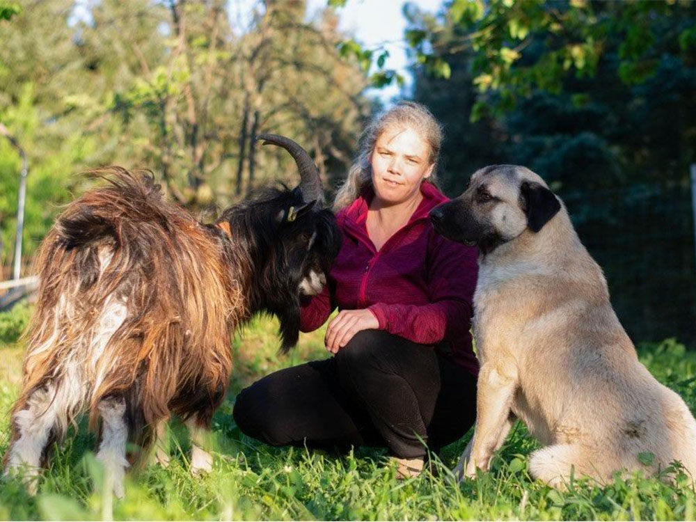 Vertrauen zwischen Ziege, Mensch und Hund hinterlässt einen tiefen Eindruck