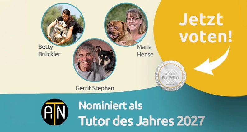 ATN Tutoren nominiert für den Studienpreis Tutor des Jahres 2027